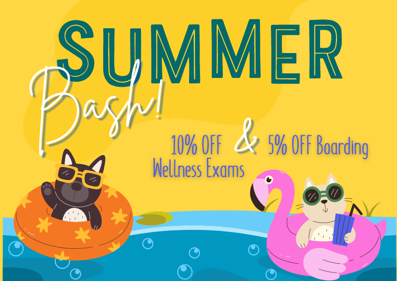 Carousel Slide 1: Learn more about our Summer Bash Promotion!