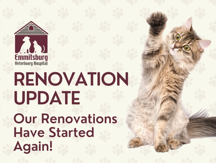 We're Renovating!